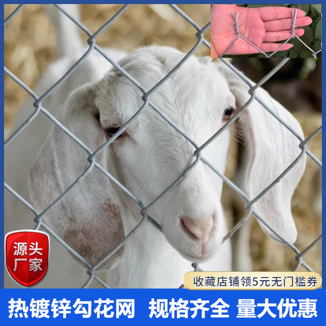 Hot-dip galvanized chain link fence, iron wire guardrail, fence protective net, steel wire breeding cattle, sheep and pig fence orchard enclosure net