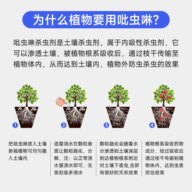 Dr. Huacao's imidacloprid small white drug insecticide special insecticide scale insect succulent plant soil insecticide