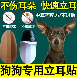 狗狗耳朵矯正 新人首單立減十元 22年11月 淘寶海外