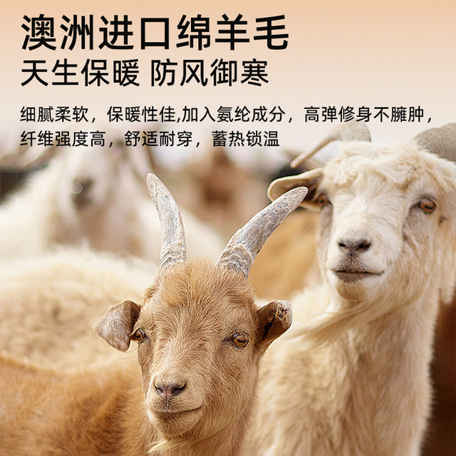 HIOIH middle-aged and elderly wool tops thickened autumn and winter coats for the elderly mother's wear cardigan warm clothes double-breasted