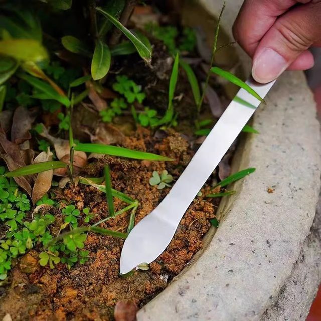 New Panjing rake double-headed stainless steel soil pressing knife, dual-purpose rake and loosening tool for bud picking and handmade bonsai making