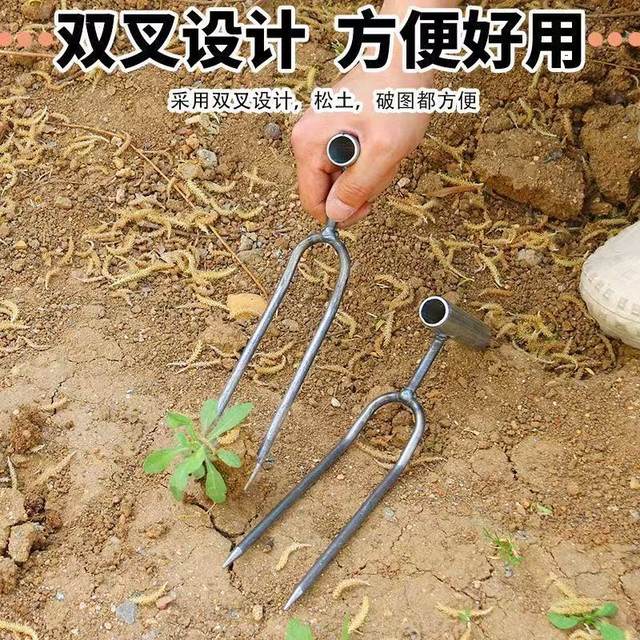 
A hand-held soil loosening two-pronged fork for gardening, growing vegetables, flowers, fertilizing and weeding tools for planting without damaging the root system.