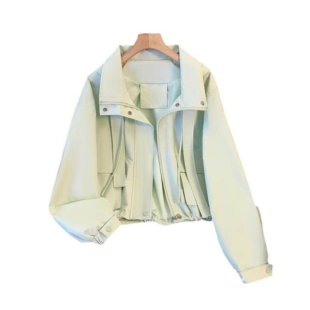 
Short hooded jacket for women in spring and autumn 2025 new spring super beautiful loose casual thin work jacket top
