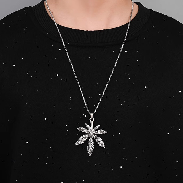 All-match decorative titanium steel sweater chain boys ins hip-hop pendant chain necklace high-end men's trendy accessories