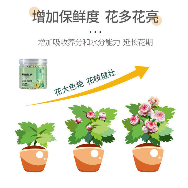 Home gardening ferrous sulfate water-soluble acid fertilizer yellow leaf general gardenia plant flower special flower fertilizer