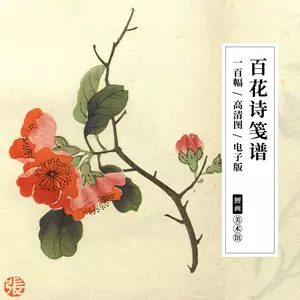 百華詩箋譜』植物画中国画-