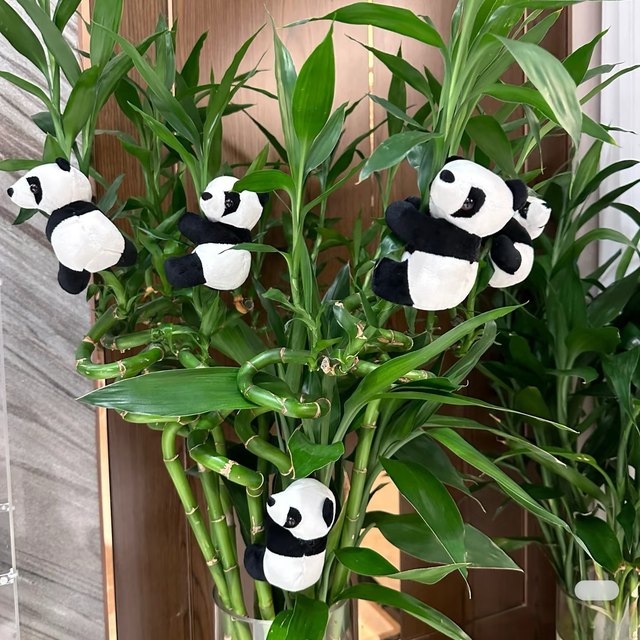 
Panda clip doll pendant wealth transfer bamboo diamond tree climbing tree green plant small doll home decoration pendant
