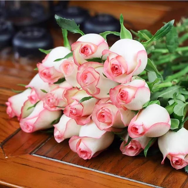 Complete list of rose varieties Elsa Rose Juice Balcony Black Buck ...