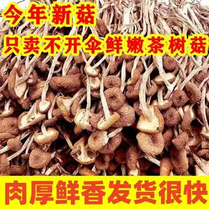 茶树菇金针- Top 50件茶树菇金针- 2024年3月更新- Taobao