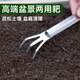 Special small rake for stainless steel bonsai, flower pot loose soil artifact, flower gardening tool, small scratch rake, three-claw rake