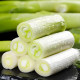 Long white striped green onion seeds can be planted in all seasons, cold-resistant seeds, and the seasonal farm vegetable seeds are heat-resistant and cold-resistant.