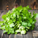 Coriander seeds, four seasons, vegetable seeds, garden planting, farmhouse small leaf coriander seeds high yield