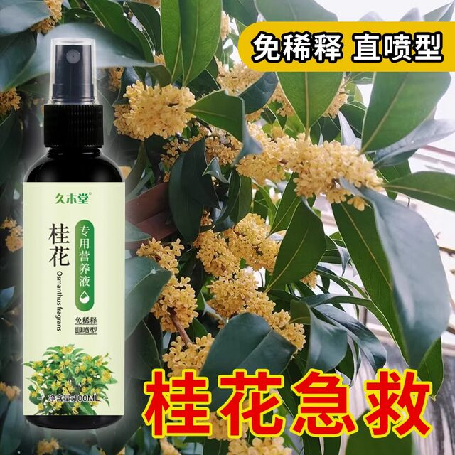 Osmanthus tree special fertilizer nutrient solution home maintenance first aid gardening yellow leaves dead leaves compound fertilizer to grow flowers and promote flowers