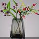 European -style simple square mouth vase Vase Glass transparent hydroponic plant light luxury flower device home living room simple utensils
