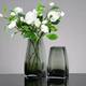 European -style simple square mouth vase Vase Glass transparent hydroponic plant light luxury flower device home living room simple utensils
