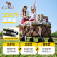 Camel camper outdoor folding and pull express delivery camping children's infusion trolley trailer picnic camping cart posing