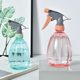 Watering kettle for watering flowers and watering sprayer for home gardening and flower cultivation pressure kettle air pressure spray kettle for disinfection