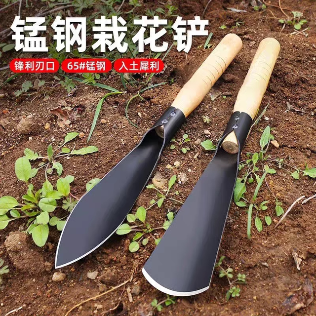 Small shovel with wild vegetables, digging amaranth, digging garlic, garlic, vegetable garden art, flower tools, weeding, digging grass plucking grass artifacts

