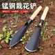 Small shovel with wild vegetables, digging amaranth, digging garlic, garlic, vegetable garden art, flower tools, weeding, digging grass plucking grass artifacts
