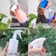 Horticultural noble acid -alkali -resistant small spray bottle head House disinfection field Drug garden pouring flowers sprayer head