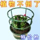 Plant bracket universal flower stand splicing gardening orchid Hualian flower shelf supporting rod inside anti -climbing frame