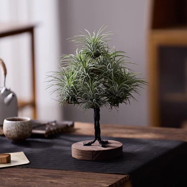 
Air pineapple creative potted Christmas tree shape soilless plant home decoration desktop ornaments customizable gifts