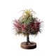 
Air pineapple creative potted Christmas tree shape soilless plant home decoration desktop ornaments customizable gifts