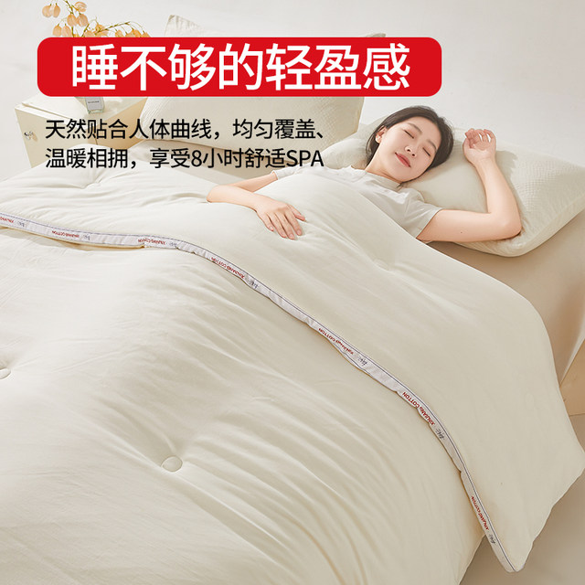 Red bean Xinjiang pure cotton quilt core winter quilt thickened warm winter quilt student single spring and autumn quilt four seasons