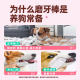 Dog teeth grinding sticks dog snacks chicken and duck wrapping cowhide teeth grinding fresh tone dog training reward pet snacks