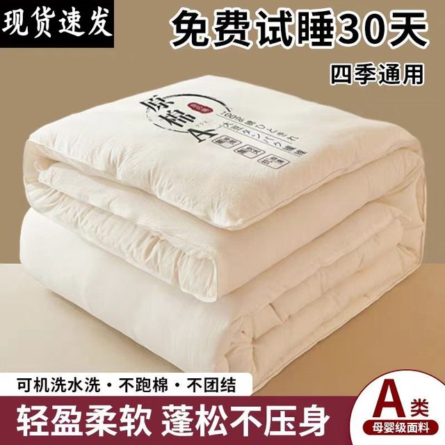 Class A maternal and infant grade soy protein fiber thickened winter quilt to keep warm spring and autumn quilt super soft student dormitory single and double