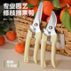 Stainless steel branch pruning shears for picking fruits, flowers and trees, garden fruit trees, flower branches, grafting, gardening scissors tools