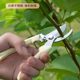 Gardening garden fruit tree scissors to prune branches potted plants artifact household greening scissors branch pruning knife special tool