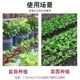 New syringe seeder artifact seedling seedling manual seeder hole tray rapeseed vegetable gardening tools