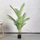 Simulation Green Plant Large Potted Traveler Banain Leaf Banyan Tree Horticultural Plant Tiger Pipchida Turtle Back Home Decoration Window
