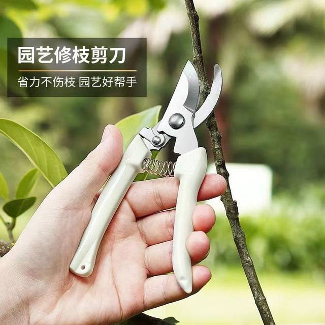Germany imported steel scissors and pruning scissors garment and flower, tree, fruit tree grafting garden shearing tools