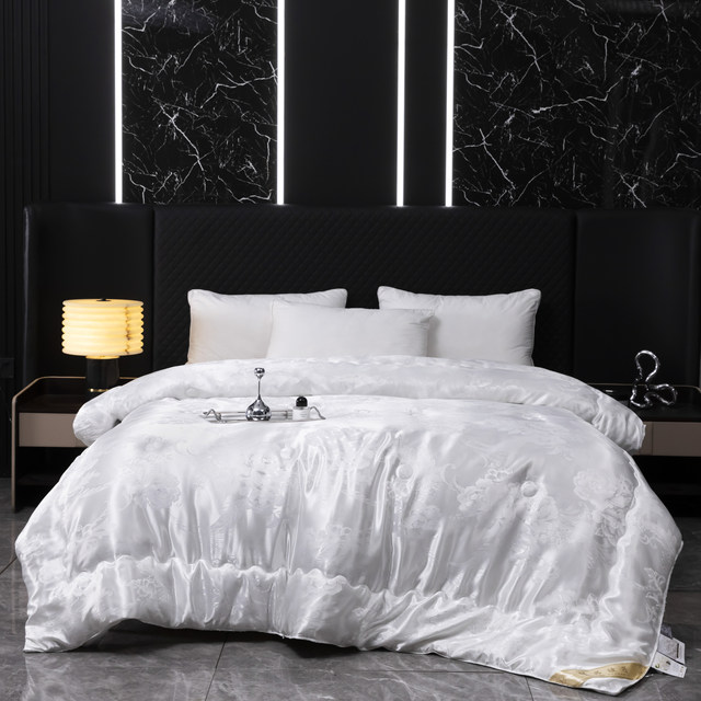 Muji Monologue Jacquard Silkworm Chrysalis Protein Quilt Warm Spring and Autumn Quilt Core Single Double Student XL11