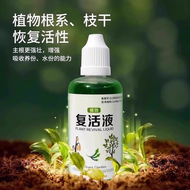 Plant and flower resurrection solution for plant and flower resurrection solution for yellowing and leaves falling.