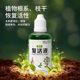 Plant and flower resurrection solution for plant and flower resurrection solution for yellowing and leaves falling.