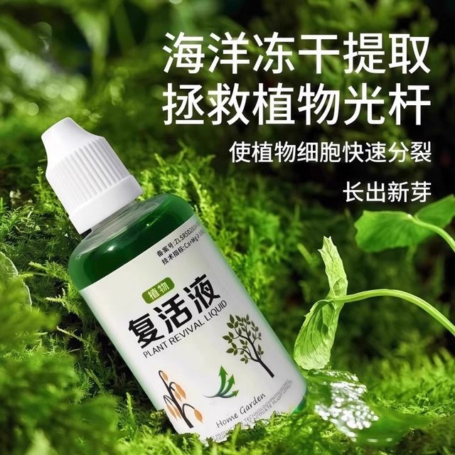 Plant and flower resurrection solution for plant and flower resurrection solution for yellowing and leaves falling.