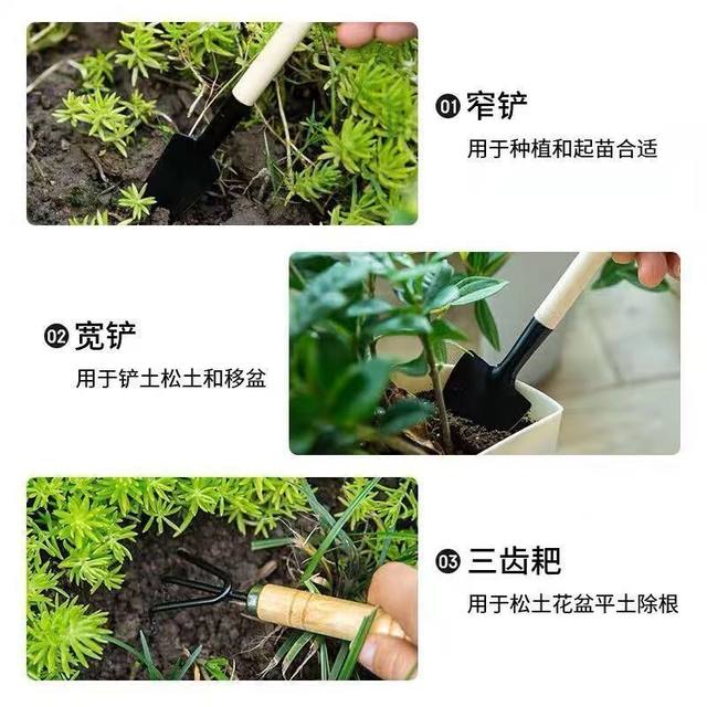 Potted small shovel planting flowers and gardening tools Planting succulent tools Set mini three -piece home with iron shovel
