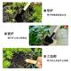 Potted small shovel planting flowers and gardening tools Planting succulent tools Set mini three -piece home with iron shovel
