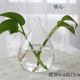 Handmade glass vases, creative living room decorations, transparent hydroponic flower arrangements, home and garden decoration