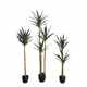 Potted Nordic style simulation plant fake green plants high imitation furnace soft furnishing home gardening bonsai ornaments
