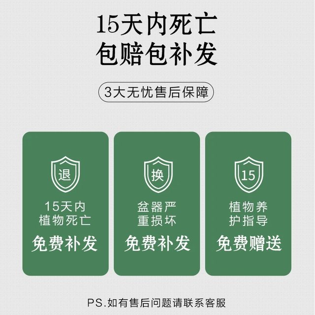 
Money tree indoor easy maintenance lazy desktop antique potted flowers and green plants foliage drought-resistant new