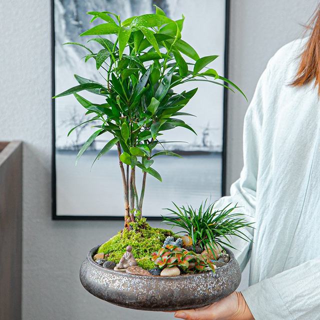 Retro creative ceramic flowerpot ornaments large round potted home gardening breathable succulent flowerpot base