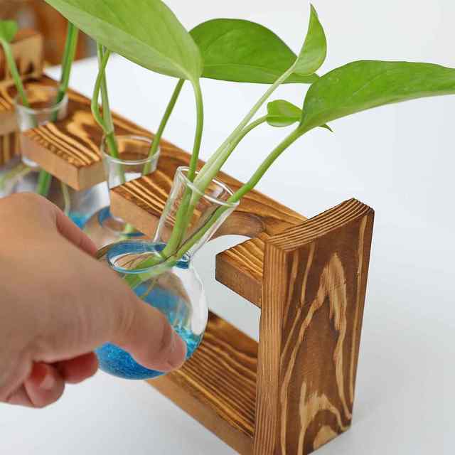
Creative wooden frame hydroponic glass flower m bottle green dill water plant flower device office home gardening desktop display
