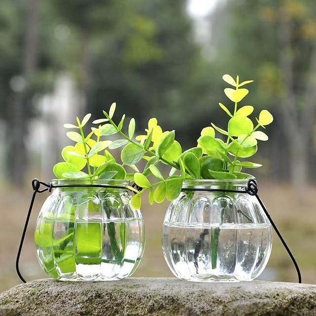 Hanging transparent glass vase small pumpkin hanging bottle simple hydroponic flower appliance indoor gardening home decoration bottle