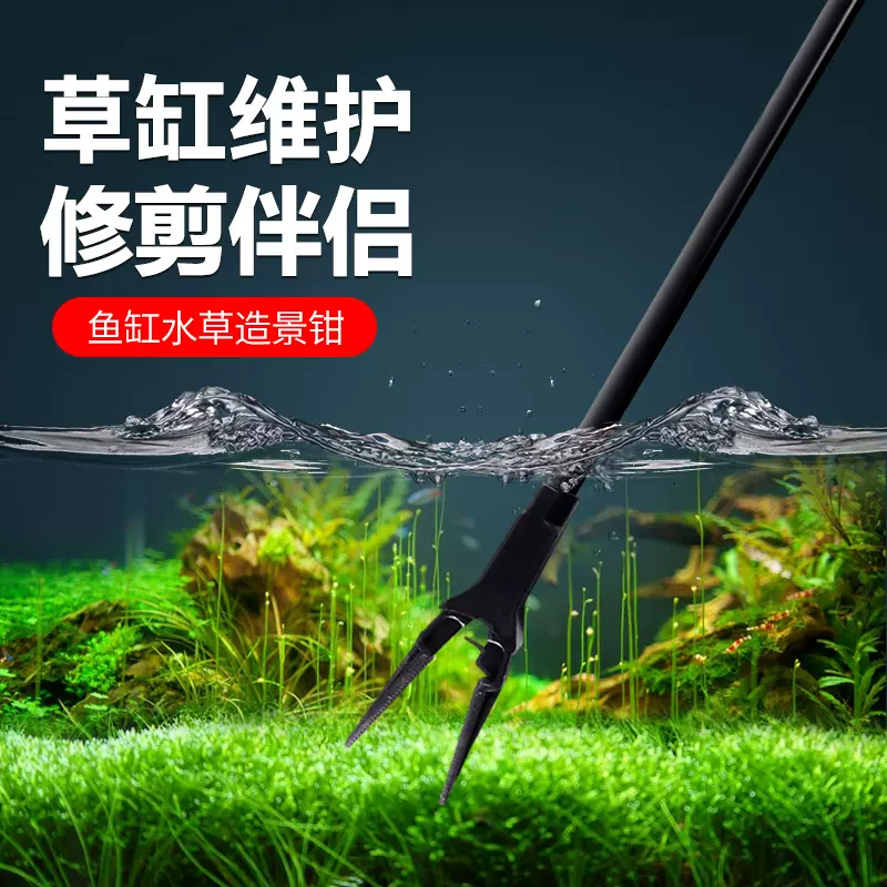 鱼缸水草夹草缸工具水草种植夹塑料夹子镊子钳子鱼缸水草工具 鱼缸水草夹草缸工具水草种植夹塑料夹子镊子钳子鱼缸水草工具
