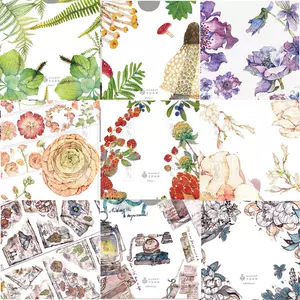 时空鸟 新人首单立减十元 22年8月 淘宝海外