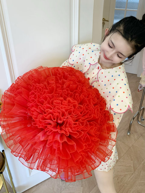 Organza skirt tutu skirt princess skirt ballet style half mini skirt